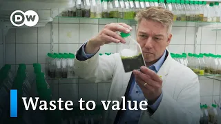 Can algae save the world? | DW Documentary