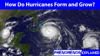 How do Hurricanes Form and Grow?--Phenomenon Explained