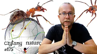 Mapa wszystkich zapachów - Kogo maca mrówka - Staczaj się z planem | Czytamy naturę #175