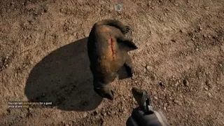 Far Cry® 5_wolverine killed my cat
