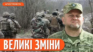 ❗ ЗАКОН ПРО ДЕМОБІЛІЗАЦІЮ: військові їдуть додому, правоохоронці на фронт