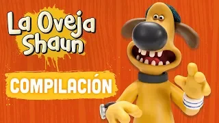 Compilación Temporada 4 (episodios 1-5) - La Oveja Shaun