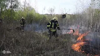 Луцькі рятувальники ліквідували пожежу на Гнідавському болоті