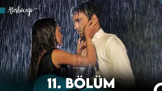 Ateşböceği 11.Bölüm (FULL HD)