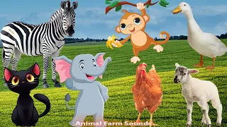 The Lives Of Familiar Animals: Chicken, Duck, Cat, Elephant, Horse - Animal sounds