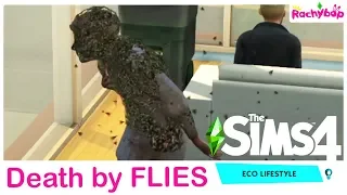 🦟 Death by FLIES in The Sims 4 Eco Lifestyle 💀