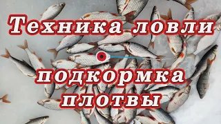 Техника Ловли и ПРИКОРМКА для ПЛОТВЫ!  КАК ПОЙМАТЬ Крупную ПЛОТВУ!