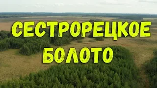 Государственный природный заказник Сестрорецкое Болото