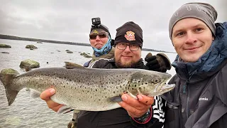 Meriforell/Sea trout 62cm 2,35kg!