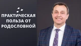 Генеалогическое дерево. Есть ли необходимость изучать свое родословное древо? МетодТойча.