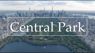 Central Park 6k Glory