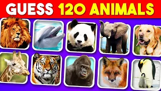 Guess 120 Animals in 3 Seconds 🦁🐵🦊 Easy, Medium, Hard, Impossible | Quiz Rush