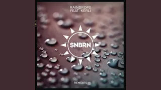 Raindrops (Prince Fox Remix)