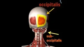 Best 3 Exercises for Headache & Jaw pain TMJ