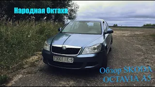 Тест драйв ŠKODA OCTAVIA А5 с овощным мотором