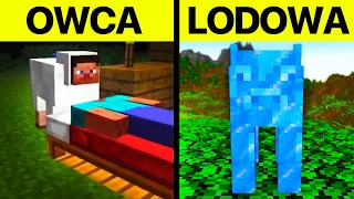 Kiedy GRACZE MINECRAFT zaczynają się NUDZIĆ