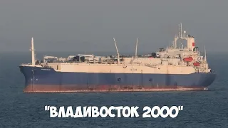 Самая крупная плавбаза в мире "Владивосток 2000" на рейде, 2020 г.