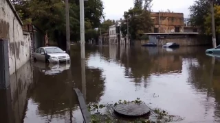 УЖАСНЫЙ УРАГАН В ОДЕССЕ