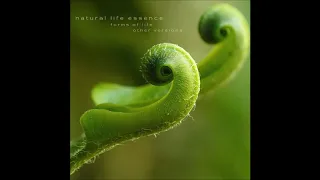 Natural Life Essence - Symbiosis ( Insects Gathering Mix ) | Chill Space