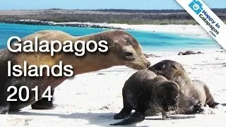 Galapagos Islands Ecuador | Galapagos Islands | Galapagos Islands Video