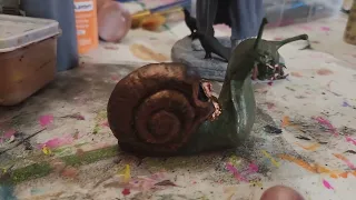 Quick Shot: Predator Snail