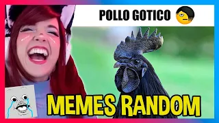 Motfrais Reacciona a MEMES RANDOM #441