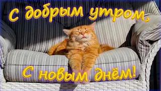 С добрым утром, с новым днём!