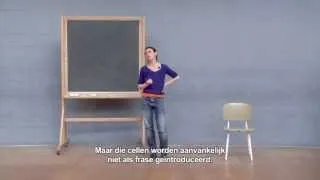 Rosas danst Rosas - The vocabulary in the second movement (NL sub)