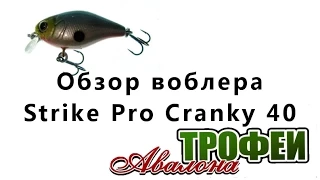 Обзор воблера Strike Pro Cranky 40 - магазин "Трофеи Авалона"