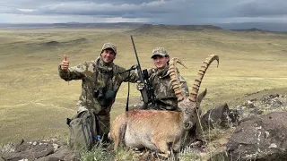 IBEX Mongolia Gobi Ibex / Gobi Desert Ibex hunt