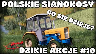 POLSKIE SIANOKOSY - MEGA KLIMAT - DZIKIE AKCJE #10 - FS 19 ♦ Polska Wieś♦