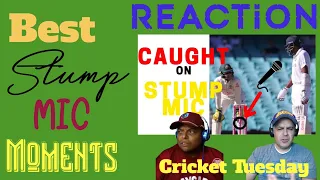 Best Stump Mic Moments - Cricket REACTION