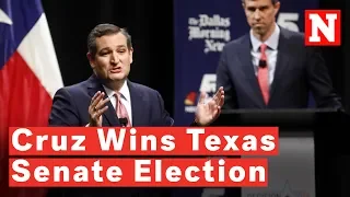 Ted Cruz Wins Texas Senate Election