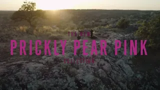 The YETI Prickly Pear Pink Collection | Inspired by True Events