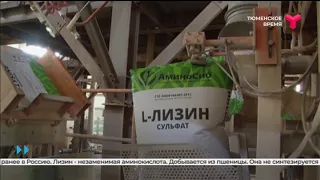 Ишимский завод "АминоСиб" производит до 30 % необходимого лизина в России