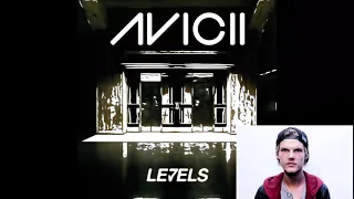 The original version and the Ballistic Trauma Major version of Avicii’s Levels added together