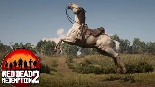 Horse Fly Glitch in Red Dead Redemption 2 on PS4 Slim