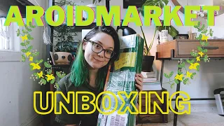 Uncommon/Rare Plants Unboxing from AroidMarket!