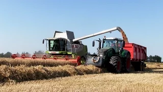 Wheat Harvest with Claas Lexion 560 | Fendt 828 Vario