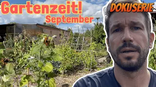 Gartenzeit im September: Gartenrundgang durch Berliner Kleingarten | Ist der Sommer schon vorbei?