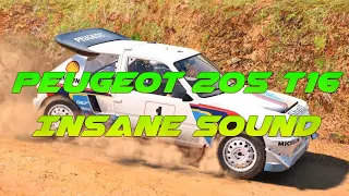 Peugeot 205 T16 E2 Pure Sound