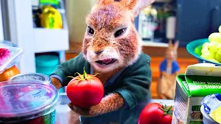 El robo del refrigerador | Peter Rabbit: Conejo En Fuga | Clip en Españo