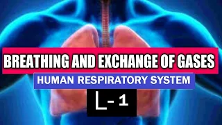 Breathing and Exchange of Gases L-1 | Human Respiratory System -1 | NEET Biology Lectures ll