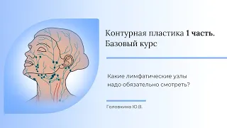 Какие лимфатические узлы надо обязательно смотреть?