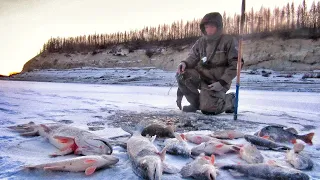 БЕШЕННЫЙ КЛЁВ, ОКУНИ КОНИ ЗА КИЛО, ЩУКИ БАЗУКИ! ЯКУТИЯ ПЕРВЫЙ ЛЁД день 3