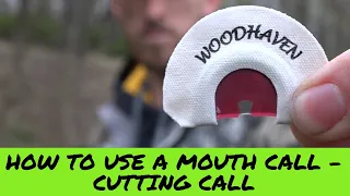 How to use a MOUTH turkey CALL - CUTTING call