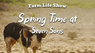 Spring Time at Seven Sons - Farm Life Show (Ep 1)