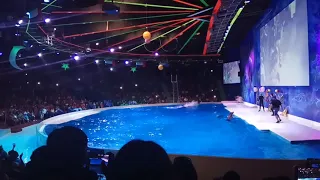 Dubai Dolphinarium | Amazing Dubai 🇦🇪  | Dolphins show part 4 🐬