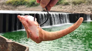 I Hooked Into A Mystery SPILLWAY MONSTER!!!