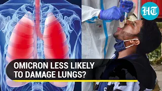 Omicron doesn't damage the lungs as much as the Delta variant, reveal studies